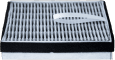 Main filter*1