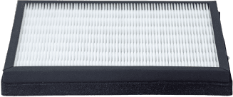 Main filter